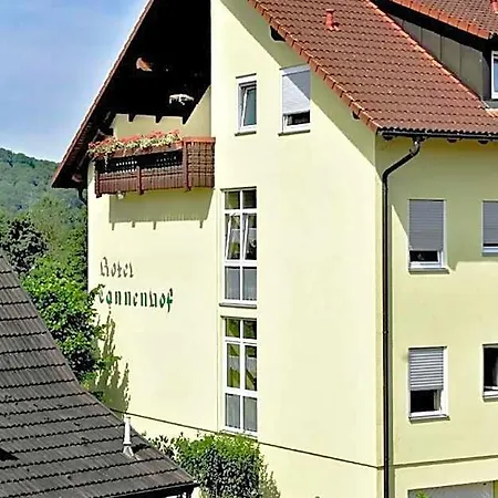 Отель Tannenhof Штайнен